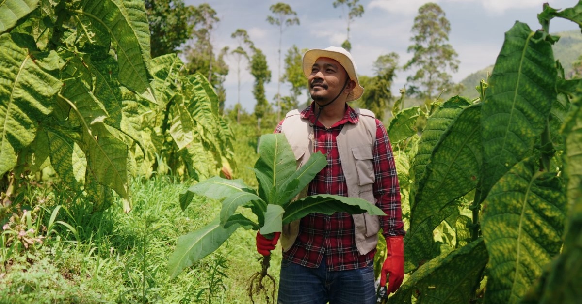 How to Implement Zero Trust Architecture: A Practical Guide