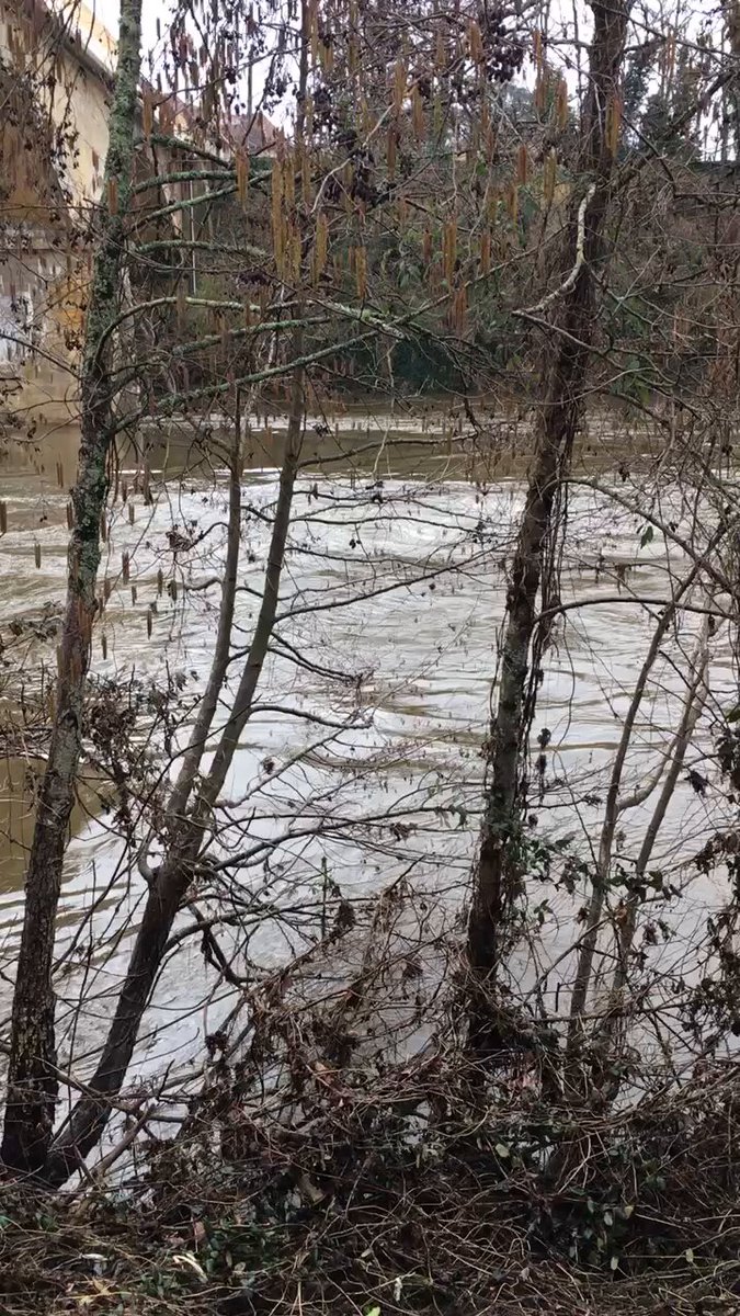 Django vs Node.js: Which is More Suitable for Your Backend Development?