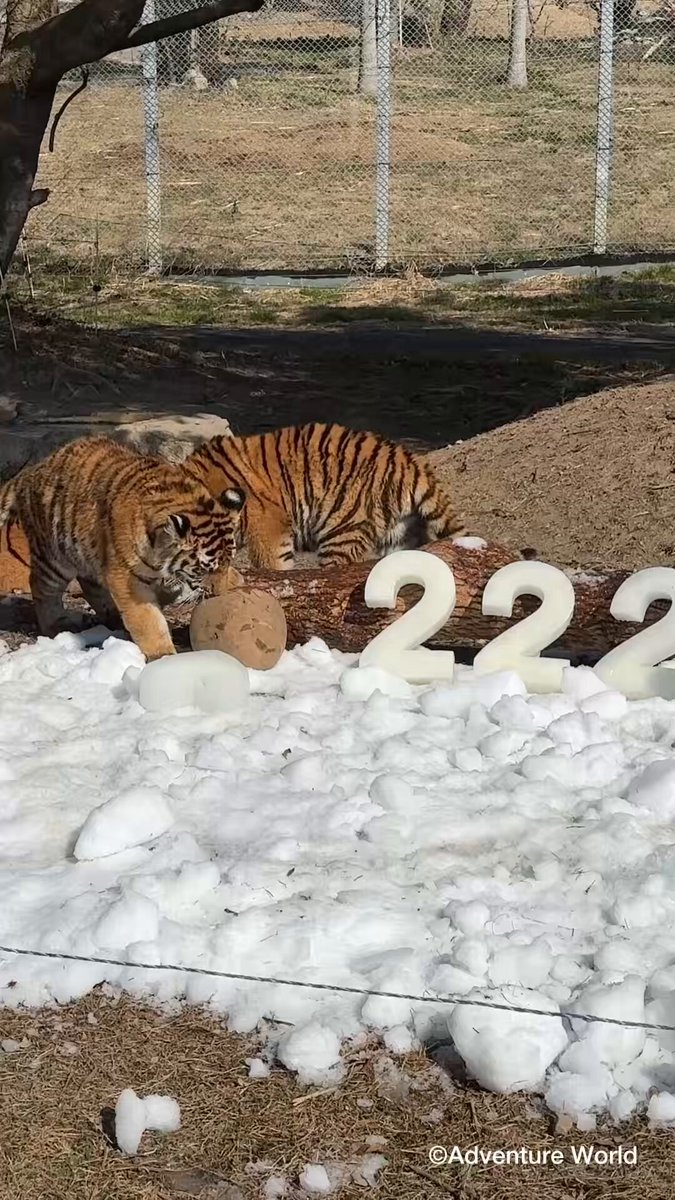 How to Use AWS to Enhance DevOps Efficiency: Practical Tools and Best Practices